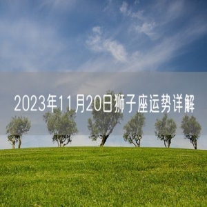 2023年11月20日狮子座运势详解