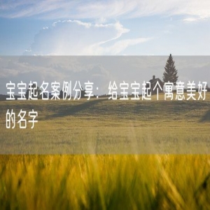 宝宝起名案例分享：给宝宝起个寓意美好的名字