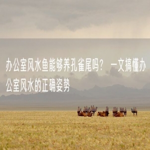 办公室风水鱼能够养孔雀尾吗？ 一文搞懂办公室风水的正确姿势