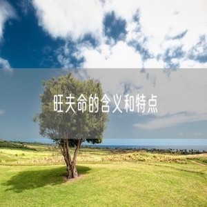 旺夫命的含义和特点