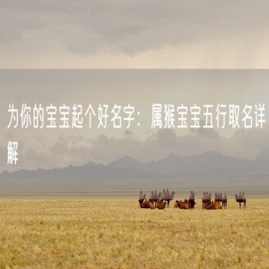 为你的宝宝起个好名字：属猴宝宝五行取名详解