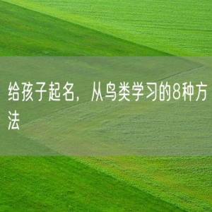 给孩子起名，从鸟类学习的8种方法