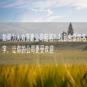 如何为人力资源公司起名？找到合适的名字，让你的公司更受欢迎