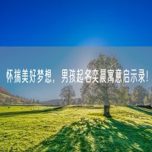 怀揣美好梦想，男孩起名奕晨寓意启示录！