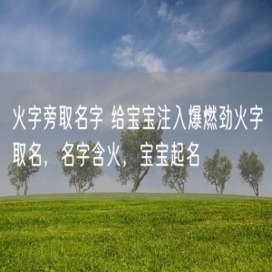 火字旁取名字 给宝宝注入爆燃劲火字取名，名字含火，宝宝起名