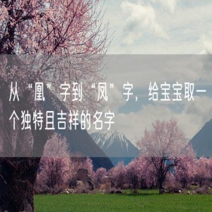 从“凰”字到“凤”字，给宝宝取一个独特且吉祥的名字