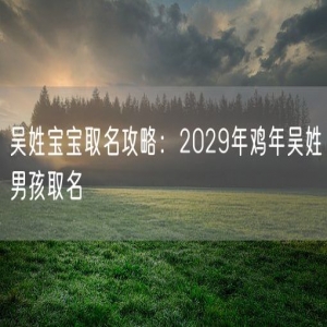 吴姓宝宝取名攻略：2029年鸡年吴姓男孩取名