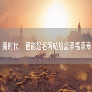 新时代，智能起名网站给您添福添寿