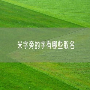 米字旁的字有哪些取名