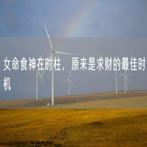 女命食神在时柱，原来是求财的最佳时机