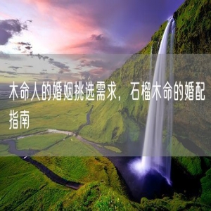 木命人的婚姻挑选需求，石榴木命的婚配指南