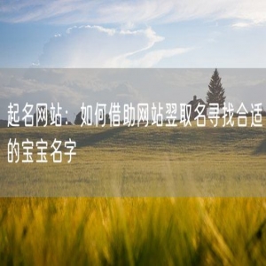起名网站：如何借助网站翌取名寻找合适的宝宝名字
