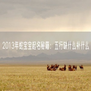 2013年蛇宝宝起名秘籍：五行缺什么补什么