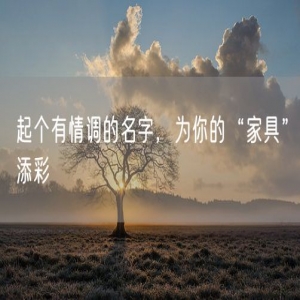 起个有情调的名字，为你的“家具”添彩