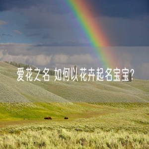 爱花之名 如何以花卉起名宝宝？