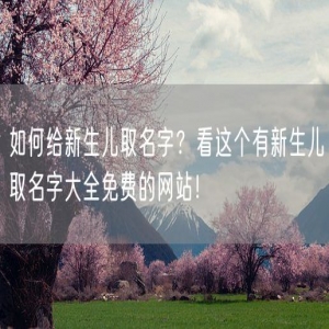 如何给新生儿取名字？看这个有新生儿取名字大全免费的网站！