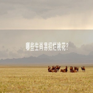 哪些生肖易招烂桃花？