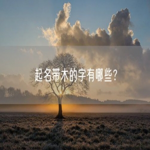 起名带木的字有哪些？