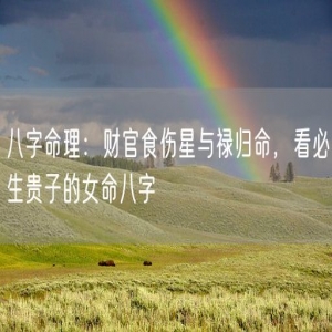 八字命理：财官食伤星与禄归命，看必生贵子的女命八字