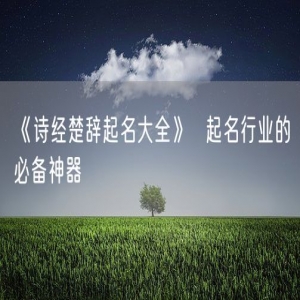 《诗经楚辞起名大全》  起名行业的必备神器