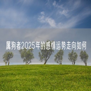 属狗者2025年的感情运势走向如何