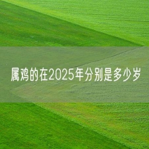 属鸡的在2025年分别是多少岁