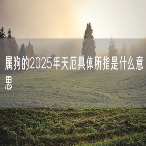 属狗的2025年天厄具体所指是什么意思
