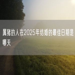 属猪的人在2025年结婚的最佳日期是哪天