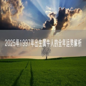 2025年1997年出生属牛人的全年运势解析