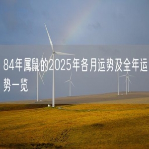 84年属鼠的2025年各月运势及全年运势一览