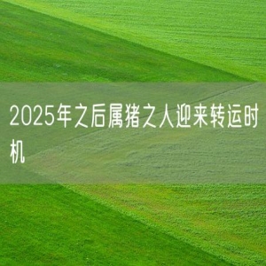 2025年之后属猪之人迎来转运时机