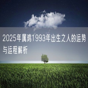 2025年属鸡1993年出生之人的运势与运程解析