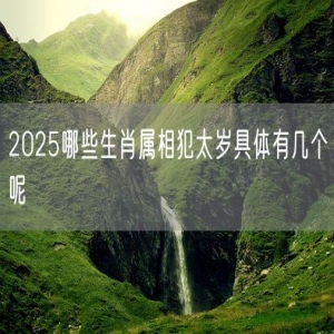 2025哪些生肖属相犯太岁具体有几个呢