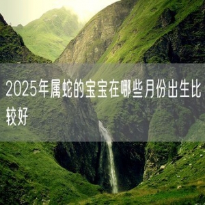2025年属蛇的宝宝在哪些月份出生比较好