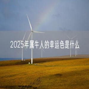2025年属牛人的幸运色是什么
