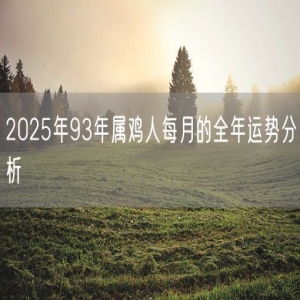 2025年93年属鸡人每月的全年运势分析