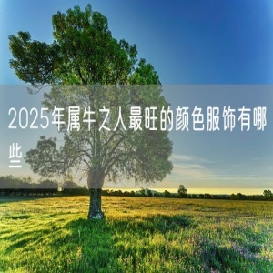 2025年属牛之人最旺的颜色服饰有哪些