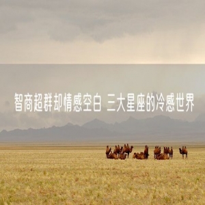 智商超群却情感空白 三大星座的冷感世界