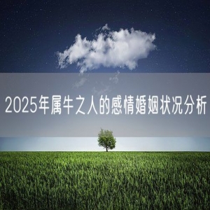 2025年属牛之人的感情婚姻状况分析