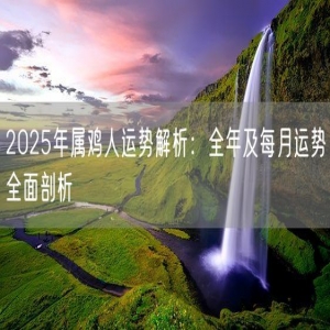 2025年属鸡人运势解析：全年及每月运势全面剖析