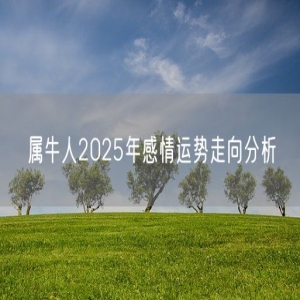 属牛人2025年感情运势走向分析