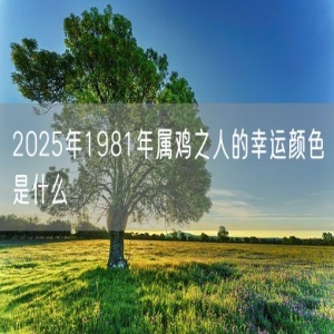 2025年1981年属鸡之人的幸运颜色是什么