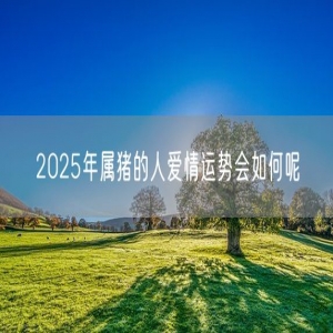 2025年属猪的人爱情运势会如何呢