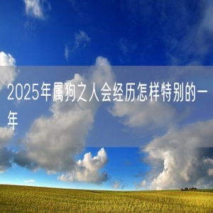 2025年属狗之人会经历怎样特别的一年