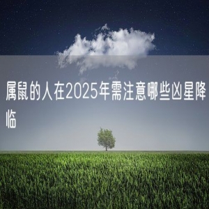 属鼠的人在2025年需注意哪些凶星降临