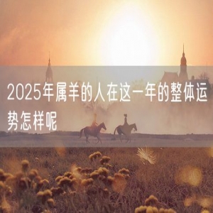 2025年属羊的人在这一年的整体运势怎样呢
