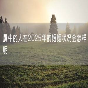 属牛的人在2025年的婚姻状况会怎样呢