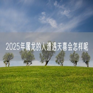 2025年属龙的人遭遇天喜会怎样呢