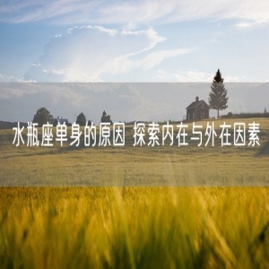 水瓶座单身的原因 探索内在与外在因素