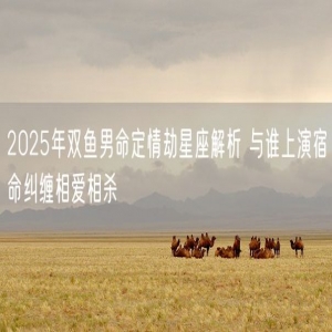2025年双鱼男命定情劫星座解析 与谁上演宿命纠缠相爱相杀